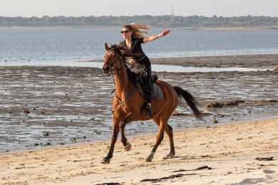 PRIVATE Horseback Riding On The Beach