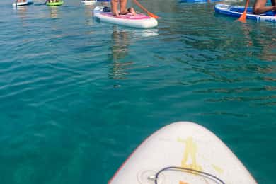 WWF TOUR alla Riserva Naturale di Torre Salsa in SUP