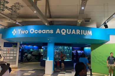 少人数グループでのホイールライド、水族館、バードパーク、ワインツアー