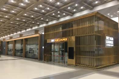 Аэропорт Сеула Кимпхо (GMP): вход в зал ожидания Skyhub