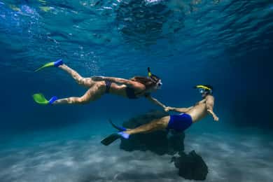 Wailea: Turtle Town Snorkeling Trip with Photo and Video