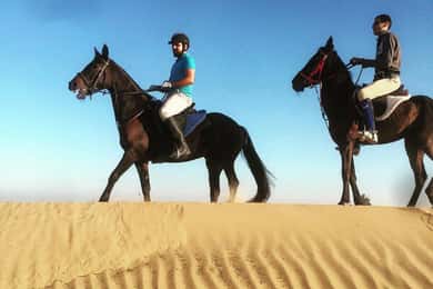 Doha : Esperienza di cavalcata araba con prelievo e rilascio