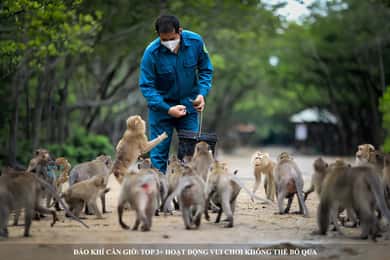 From Ho Chi Minh: Can Gio Mangrove Forest & Monkey Island