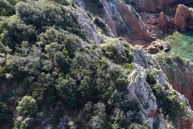 Ajaccio: Scandola - Girolata - Piana - Capo Rosso Tour