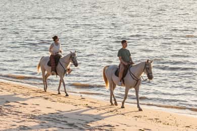 Montar a Caballo en la Playa al Atardecer