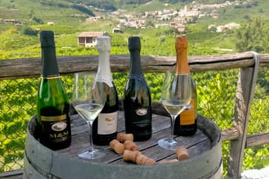 Tour di degustazione del Prosecco. Mezza giornata. Da Venezia