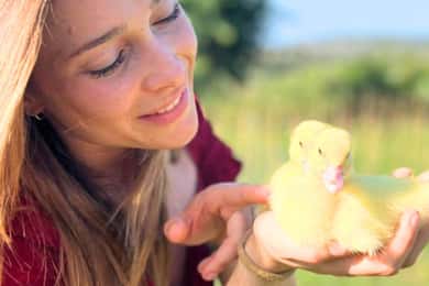 Gallura: Picknicken op een boerderij met dieren