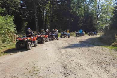 Bansko: Geführtes ATV-Abenteuer