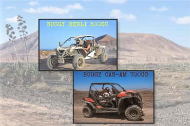 Fuerteventura: Dune Buggy Tour in Northern Fuerteventura