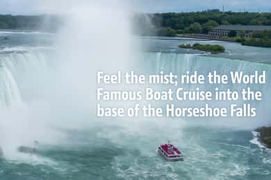 Tour estivo di 4 ore - Cascate del Niagara, Canada