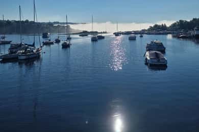 Oslo: Geführte Wanderung auf der Insel Malmøya mit Waffel und Getränk
