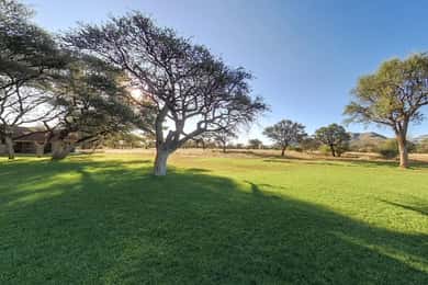 From Windhoek: Okapuka Safari Lodge Day Trip