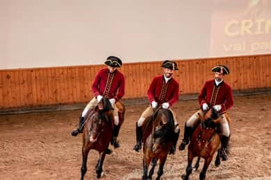 Lisbon: Morning of Equestrian Art with Lusitano Horses