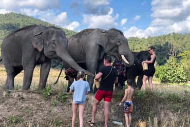 Chiang Mai: Two-day Temple of Elephants Sanctuary Tour