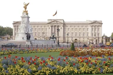 Buckingham Palace State Rooms with Bus and Boat Tour