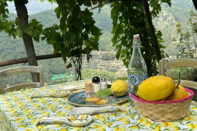 Maiori: Hiking Tour to A Lemon Farm with Lemon Tastings