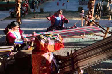Camelid Center Visit in Cusco: Alpacas, Culture & Weaving