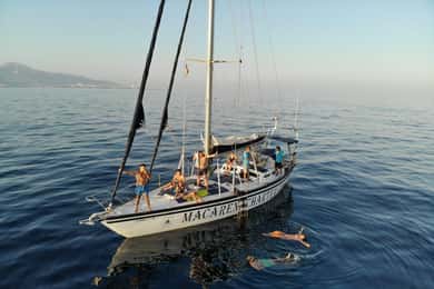Fuengirola: İçecekler Eşliğinde Yunus Gözlem Yelken Turu