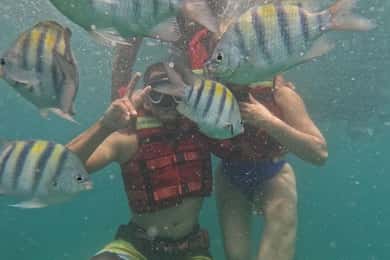 Cartagena: BARÚ Playa blanca with SNORKELING INCLUDED