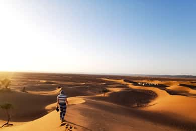 Desde Zagora: Excursión nocturna al desierto de Erg Chigaga Paseo en camello