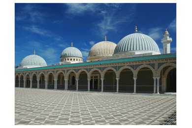 Tunis/Monastir/Hammamet: Coastal Day Trip with Driver