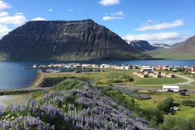 Ísafjörður: Rundvandring i Flateyri by: Lokal kultur och historia