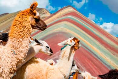 Cusco: Excursão à Montanha Arco-Íris, viagem de 1 dia