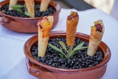 Treurer : Tapas Gourmets et huile d'olive extra vierge