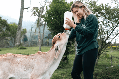 De Medellín: Passeios a cavalo em uma fazenda de 100 anos e muito mais