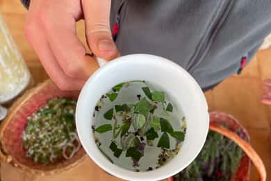 Near Cagliari: Wild Herbs and Healing at "In Our Garden"