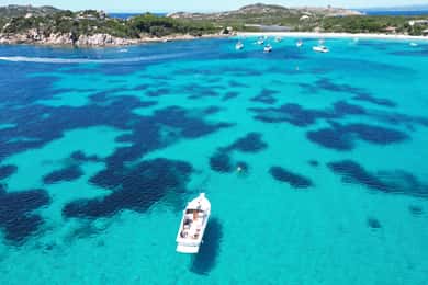 Da Palau/La Maddalena: Tour in barca all inclusive