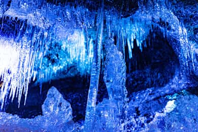 Mt. Fuji Ice Cave, Oshino Hakkai, Muscat All-you-can-eat