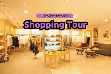 Seoul: Private Shopping Tour