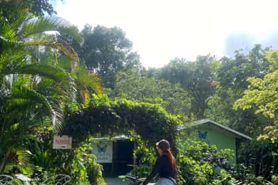 Private Bike Tour Waterfall, Views & Local Life