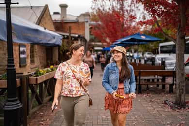Desde Adelaida: Excursión a Adelaida Hills, Hahndorf y Mount Lofty