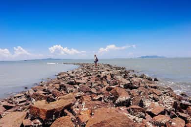Can Gio Mangrove Forest Tour With Authentic Thanh An Island