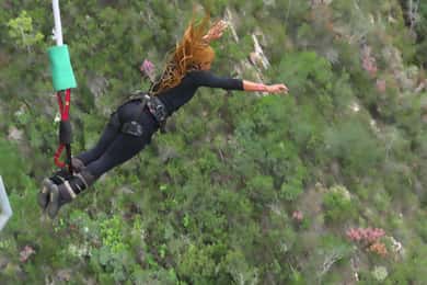 2-Day Garden Route Bungee Jump, Zipline & Shark Diving Tour