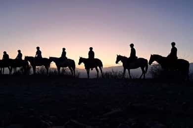 Cabalgata al Atardecer y Cena en Mendoza