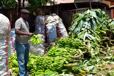 Mto wa Mbu: cascata, boma Masai, villaggio e collina di Balaa