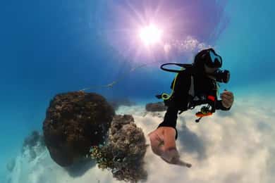 Private Padi Open water diver course