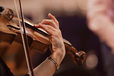 Catania: Tribute Concert - Bellini en Vivaldi's Vier Jaargetijden