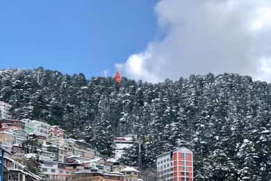 Shimla: Hiking Tour to Jakhu Hill with Local Guide
