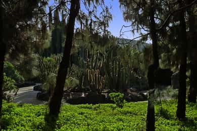 Las Palmas: Tour Privado del Jardín Botánico y Extensión de senderismo opc.