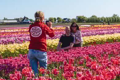 De Amesterdão: Visita aos Jardins de Keukenhof e à Experiência das Tulipas