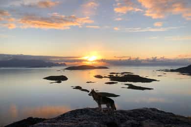 Tromsø : Circuit du soleil de minuit dans les îles Sommarøy