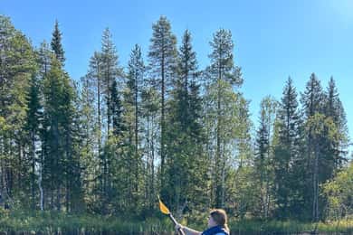 Rovaniemi: Guided Wilderness Kayaking Adventure