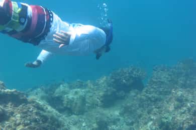 Playa Uvita: Snorklingstur på ön Caño med lunch