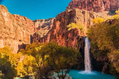 Från Las Vegas: Dagstur till Zion National Park