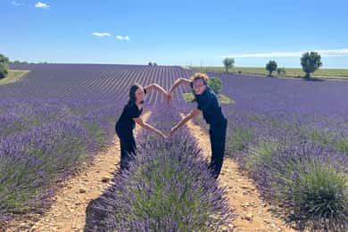 Fra Avignon: Halvdagstur i lavendel til Sault