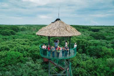 From Ho Chi Minh City: Can Gio Mangrove Forest Day Tour